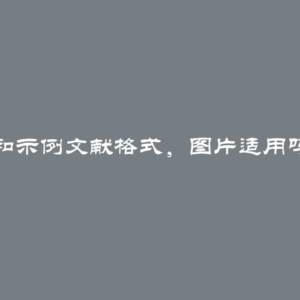 设置链接、图片、引言和示例文献格式，图片适用吗？详细教程与示例解析