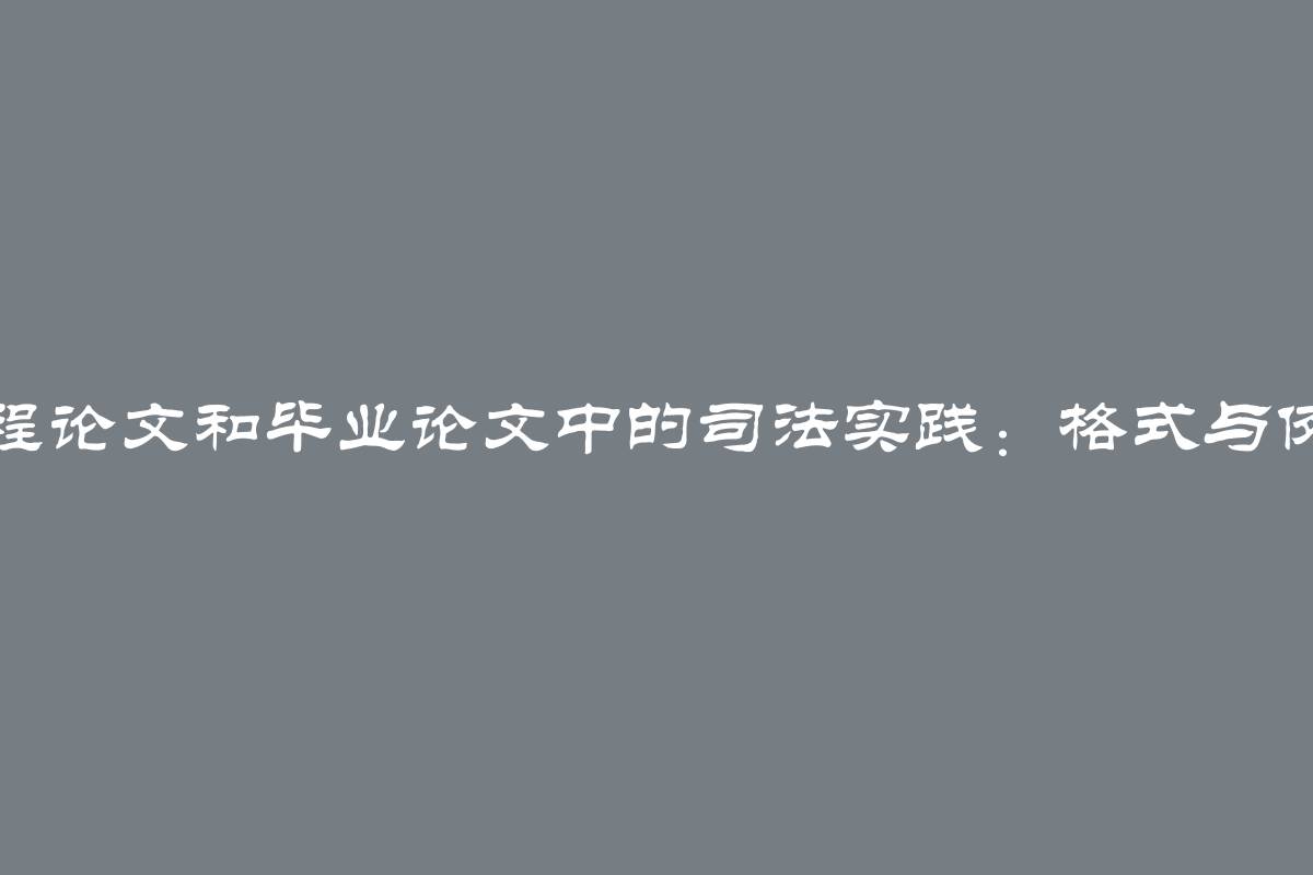 课程论文和毕业论文中的司法实践：格式与例子