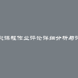 精彩课程作业评论详细分析与评价