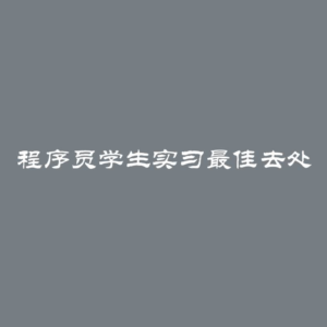 程序员学生实习最佳去处