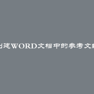 如何创建Word文档中的参考文献列表